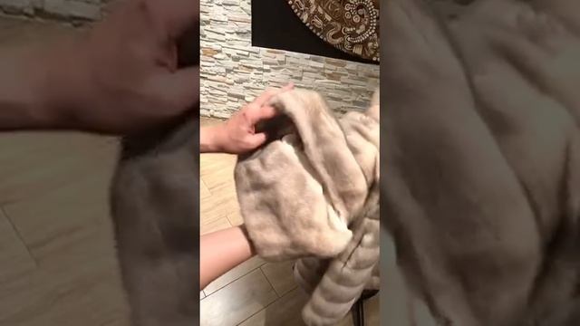 video5404861929904692375