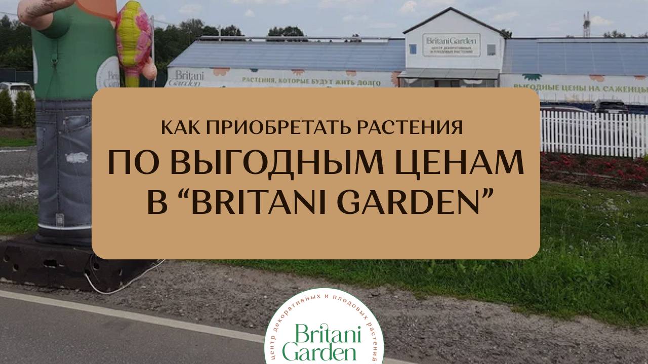 Как получить выгодные цены на растения в кооперативе Британи Гарден?