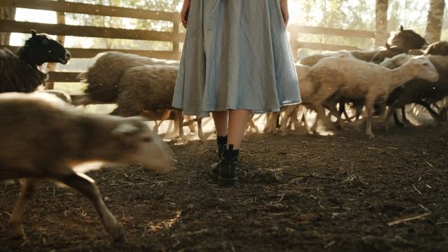 4921866-uhd_4096_2160_25fps