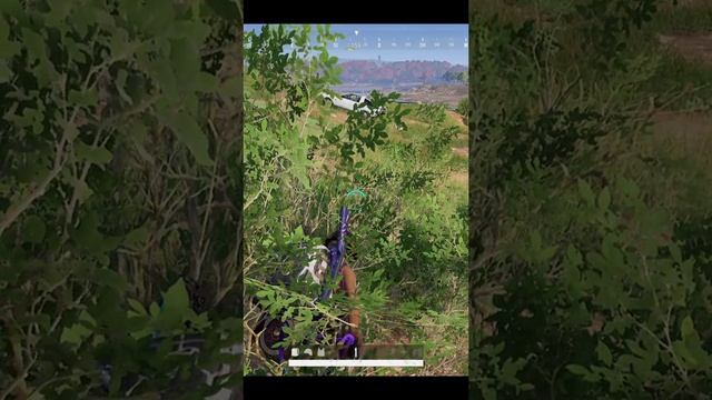 pubg mobile засел в кустах