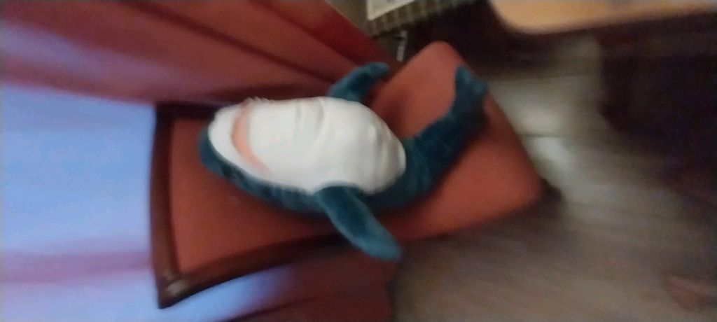 Мистер акула