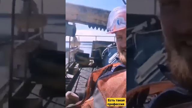 #рекомендации #тренды #юмор