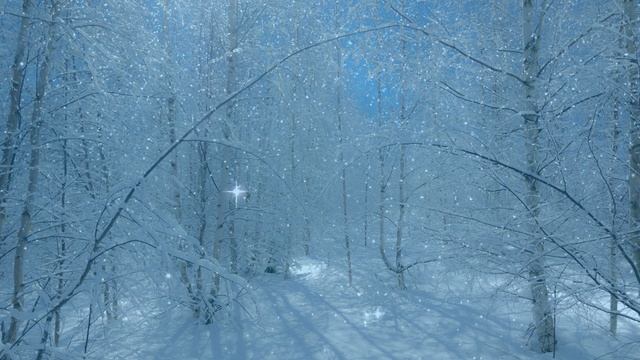 Футаж. Зимний пейзаж 124