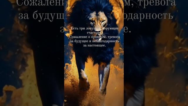 Правда