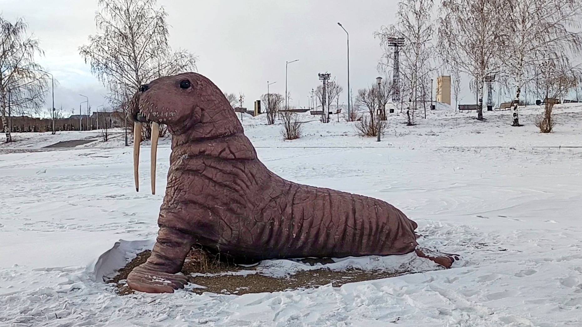 Магнитогорск, парк у Вечного огня (14.12.2024)