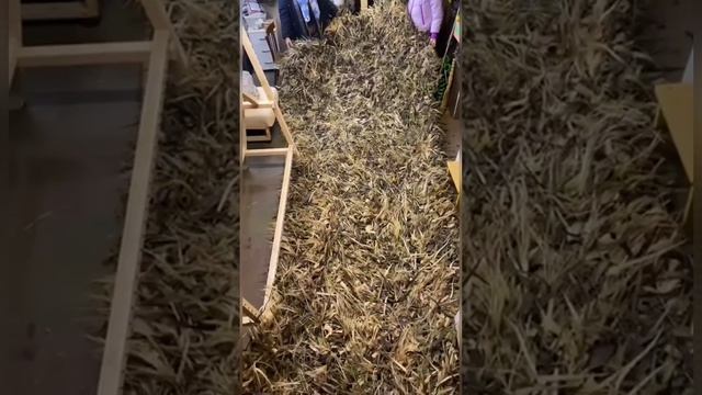 для СВОих.mp4