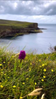 Фантастический Подарок На Новый Год 2025
#Подарок
#Подарки
#ПодарокМужу
#ПодарокМужчине