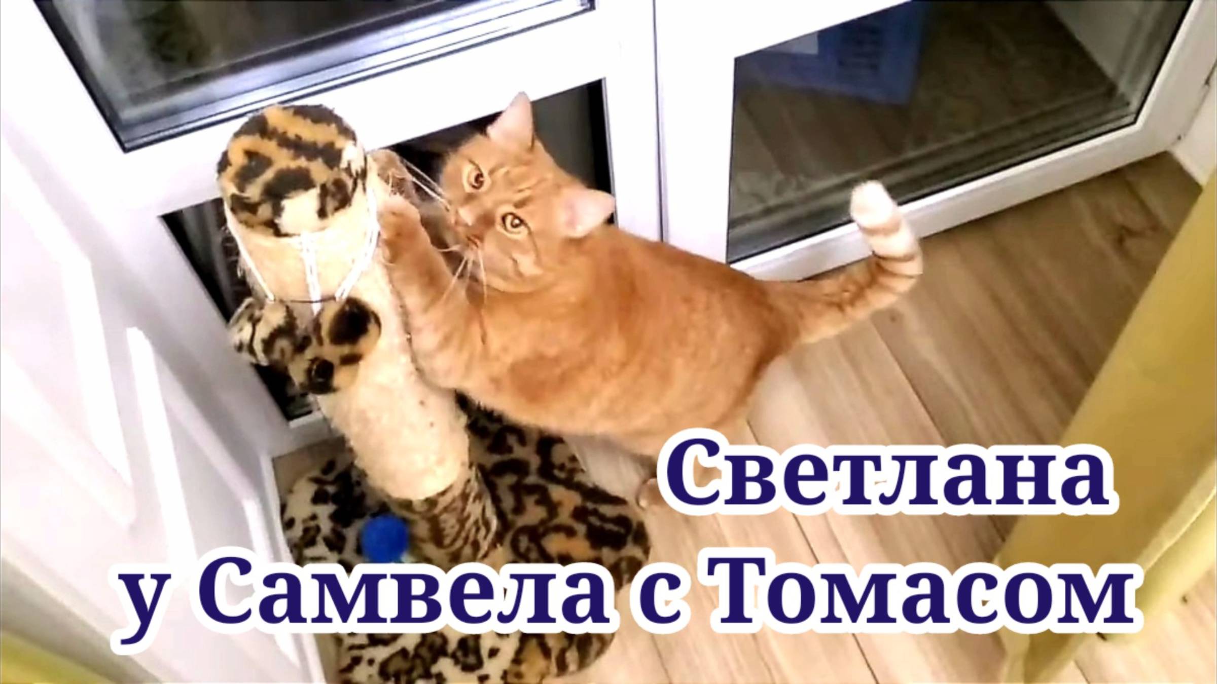 Светлана у Самвела с Томасом