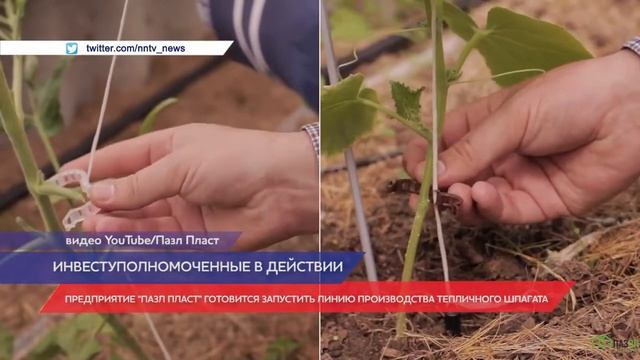Работа инвеступолномоченных