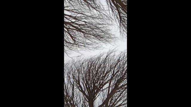 как твою свой телефон со снежной горы на ватрушке