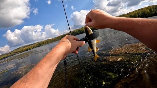 Много ЖИРНОЙ плотвы на мормышку. Отличный КЛЁВ. Мормышинг наноджиг ультралайт