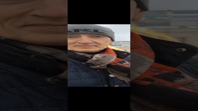 ФАНТАЗЁР Я.ЕВДОКИМОВ ПЕСНЯ