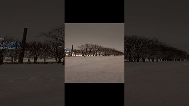 16.12.2024 . Погода Петербург . 23:18 . -3° .