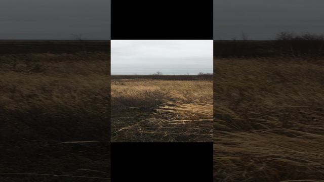 Охота осень тундра.mp4