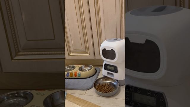 Каспер осваивает кормушку