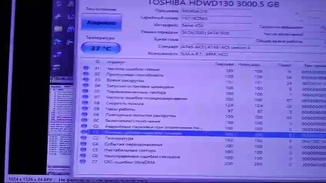 Жесткий диск Toshiba P300