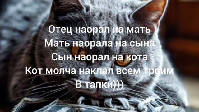 кот может наказать