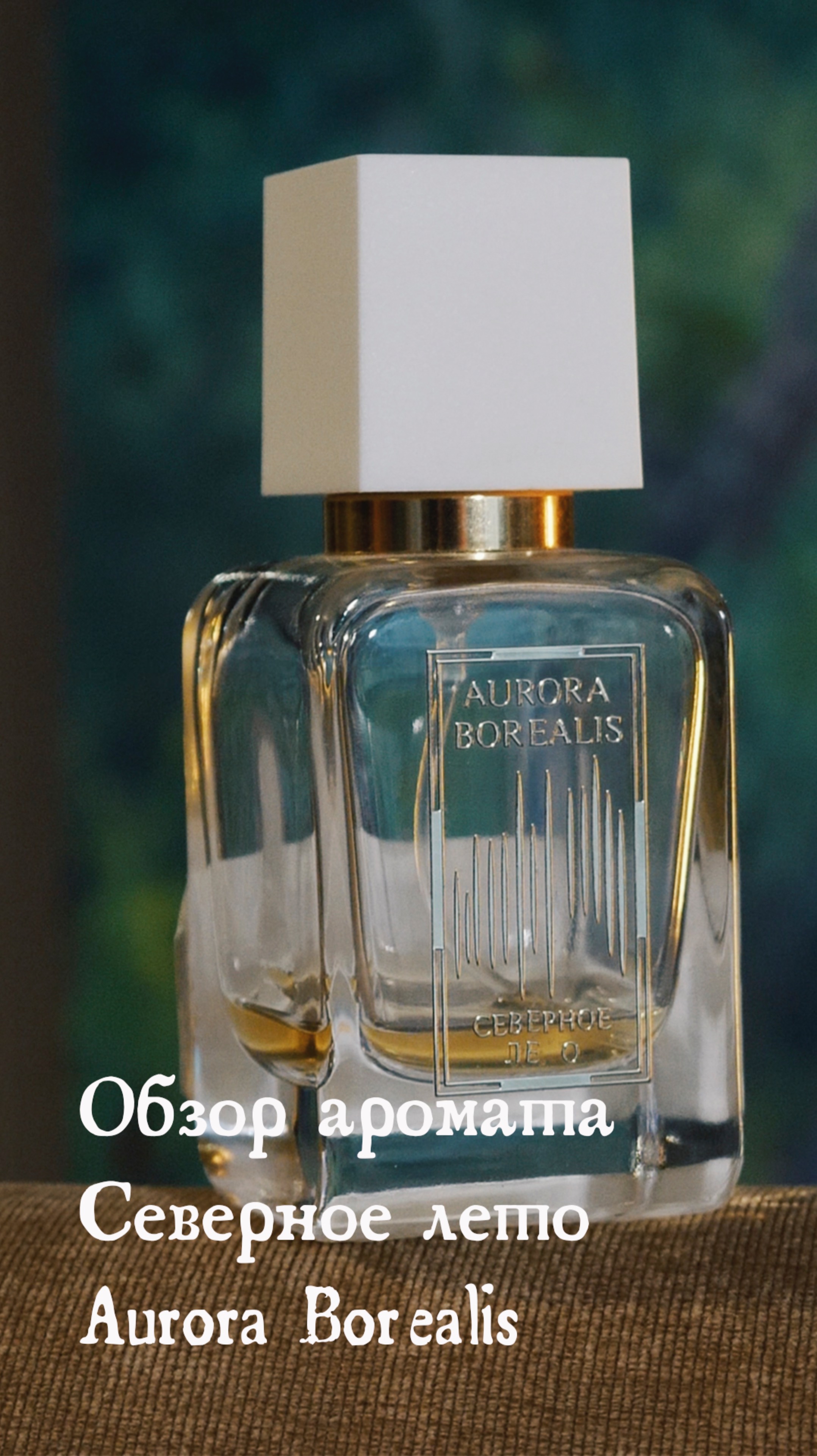 Обзор аромата Северное лето от Aurora Borealis