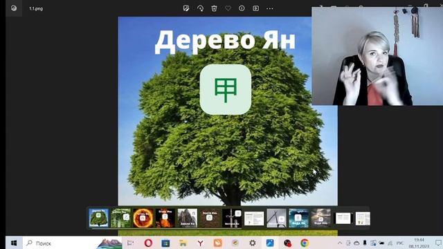 Дерево Ян. Описание человека с элементом личности через Бацзы.