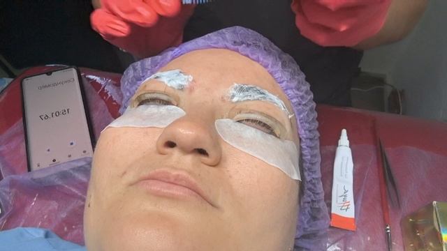 petal_20240913_144509.mp4