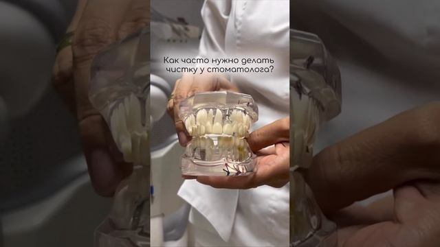 Как часто нужно делать чистку у стоматолога? 🦷