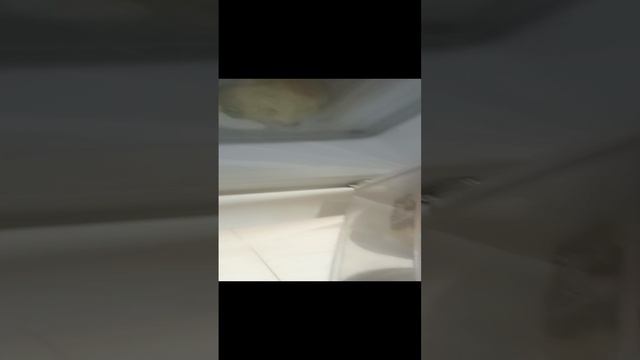 1000005494.mp4