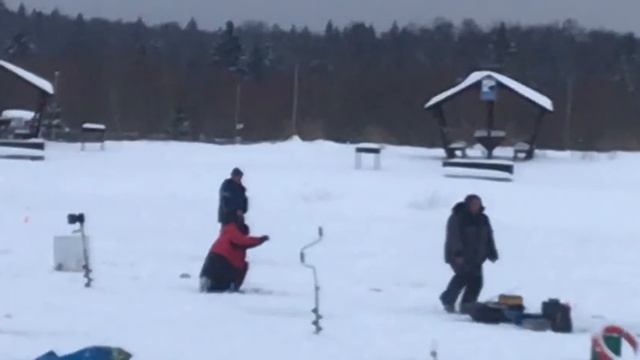 Очередная поклевка