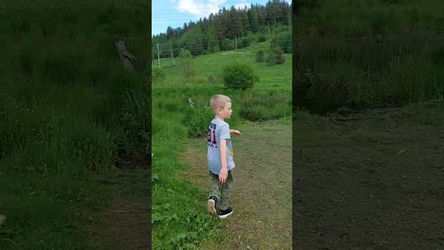 Окружающий мир: головастики и лягушки