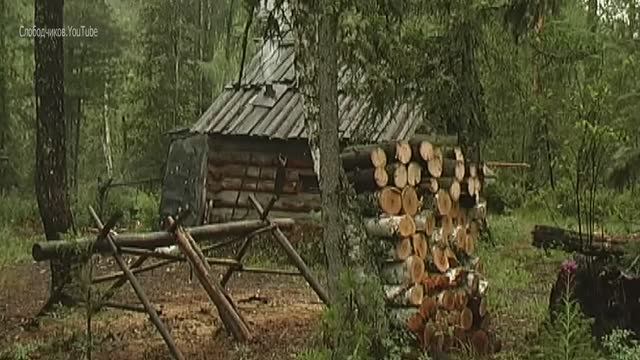 Лесное царство Водопьянова