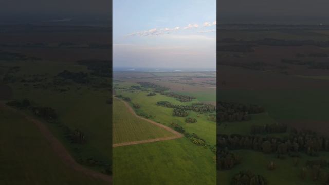 Виды с высоты: Поля Барнаула и окрестности с параплана