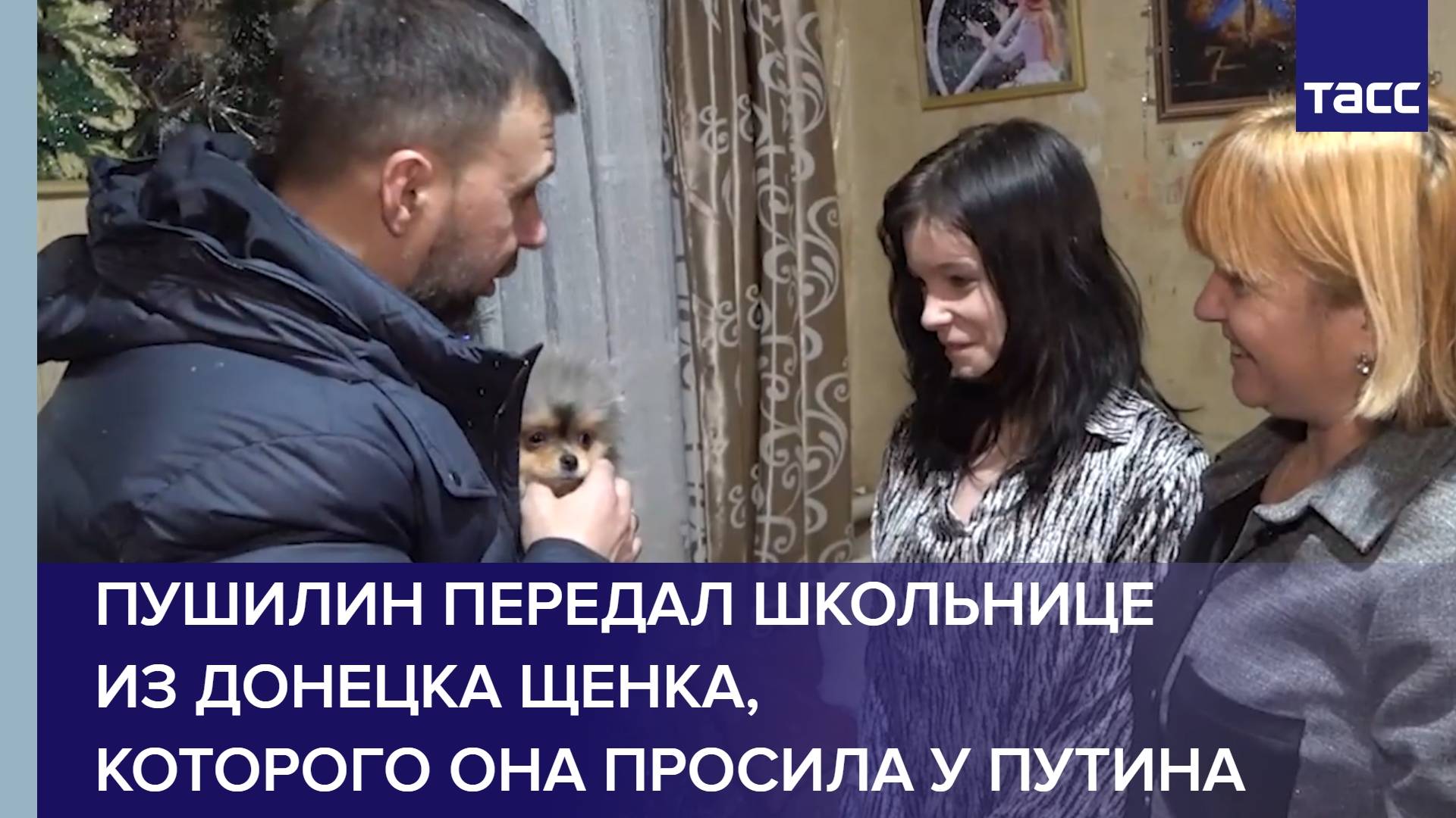 Пушилин передал школьнице из Донецка щенка, которого она просила у Путина