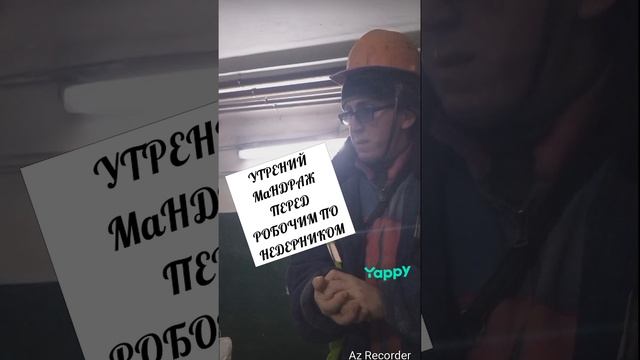 #tweekytweek #твикитвик