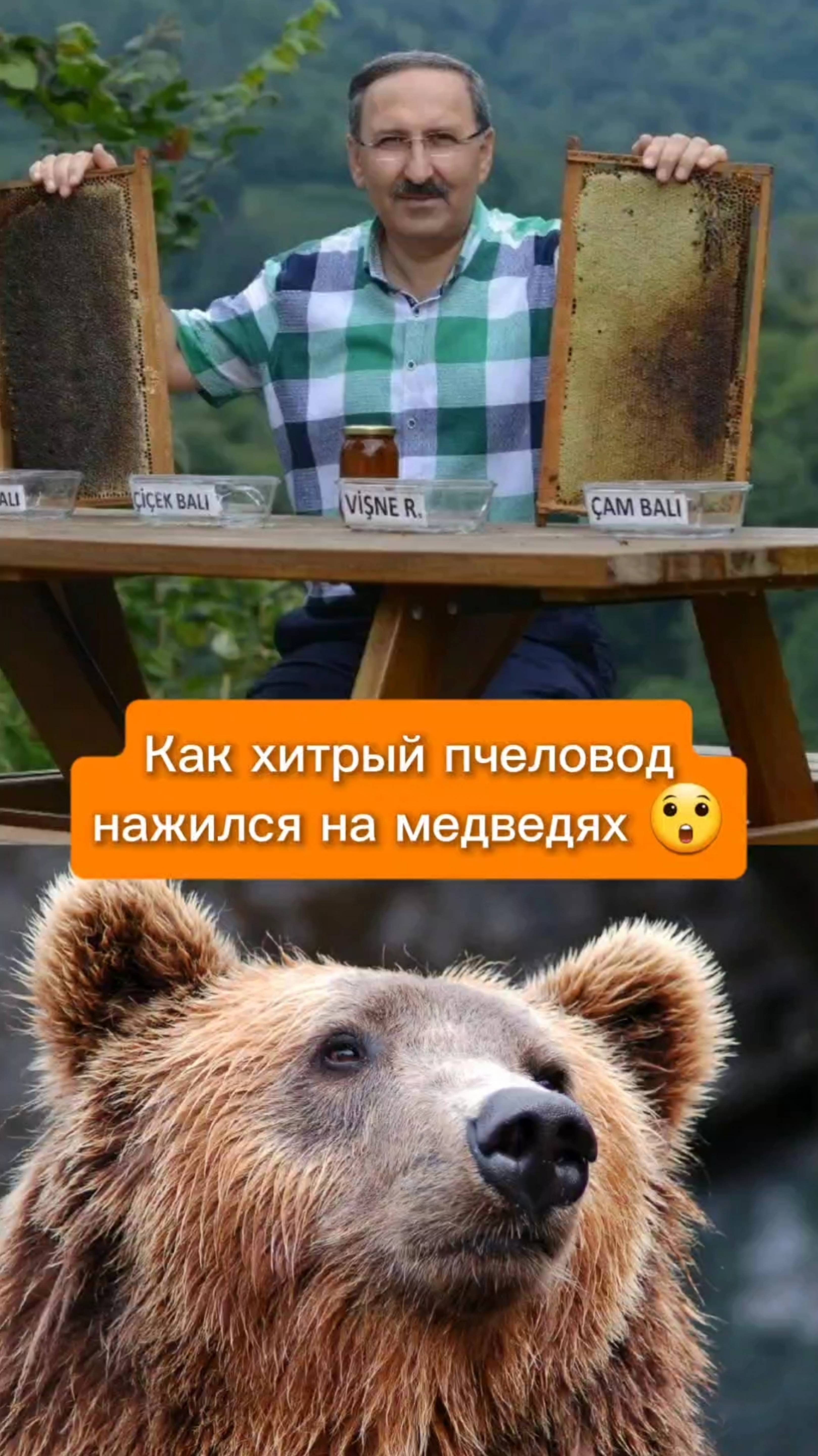 Пасечник сделал ход конём. Медведи в шоке 🐻💨 #shorts