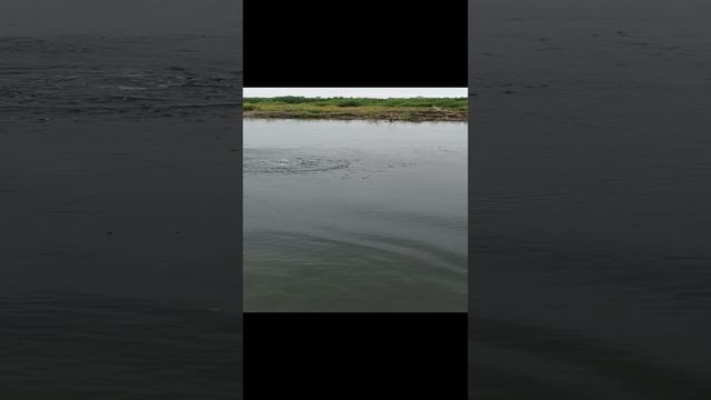 Хороший Кижучок и адреналин!