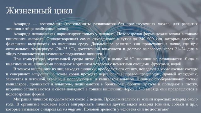 Аскариды