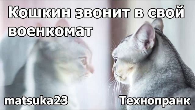 Matsuka23  Кошкин звонит в свой военкомат