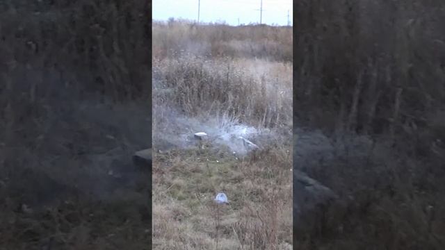 Ультра Мощная Петарда Шок Бульдог против Огнетушителя