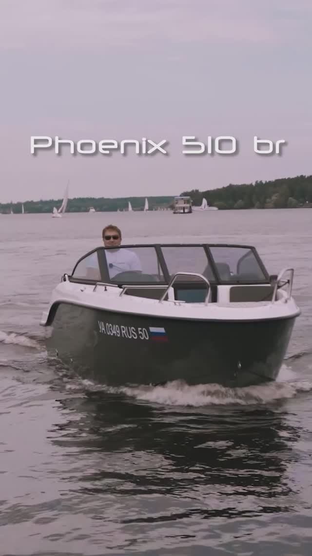 Phoenix 510 br + Mercury F100