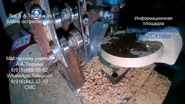 8ка А.А.Тюрина из Клёна остролистного.