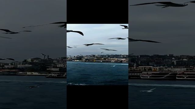 VID_20211109_125139~3