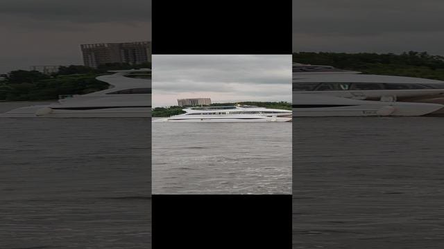 Катамаран г. Ярославль