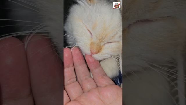 С Добрым утром от Настюни 🌞❤️😻