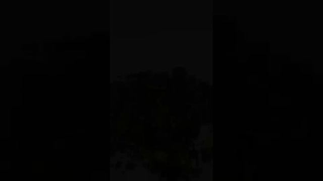 VID-20241216-WA0037