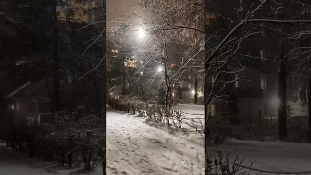 Красивый снегопад в Алмате! ❄️