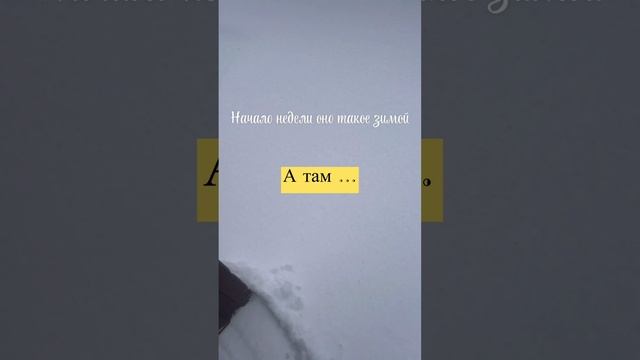 Понедельник -день тяжелый 😂#смешноевидео#смехитолько