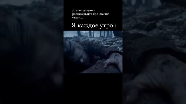 #юмор #развлечения #еда #животные #музыка #красота #мода #культура #образование #новости #спорт