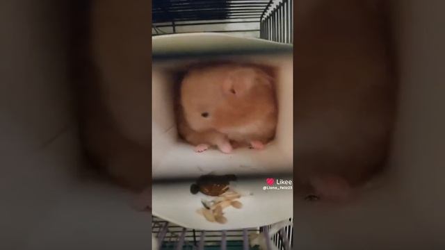 готовимся к зиме
