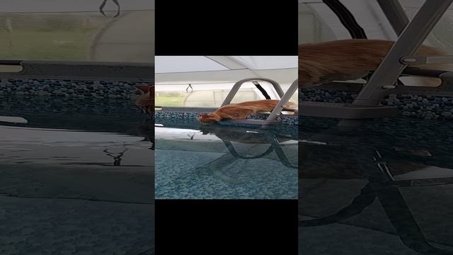 1000004957.mp4