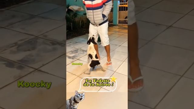 1000004163.mp4