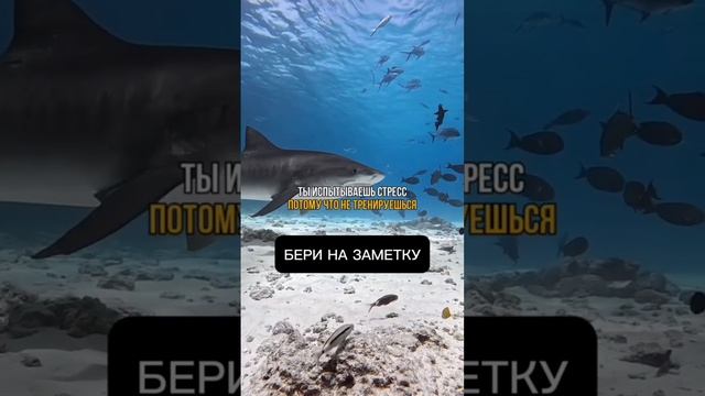 Бери на заметку #мотивация #успех #путькуспеху #саморазвитие